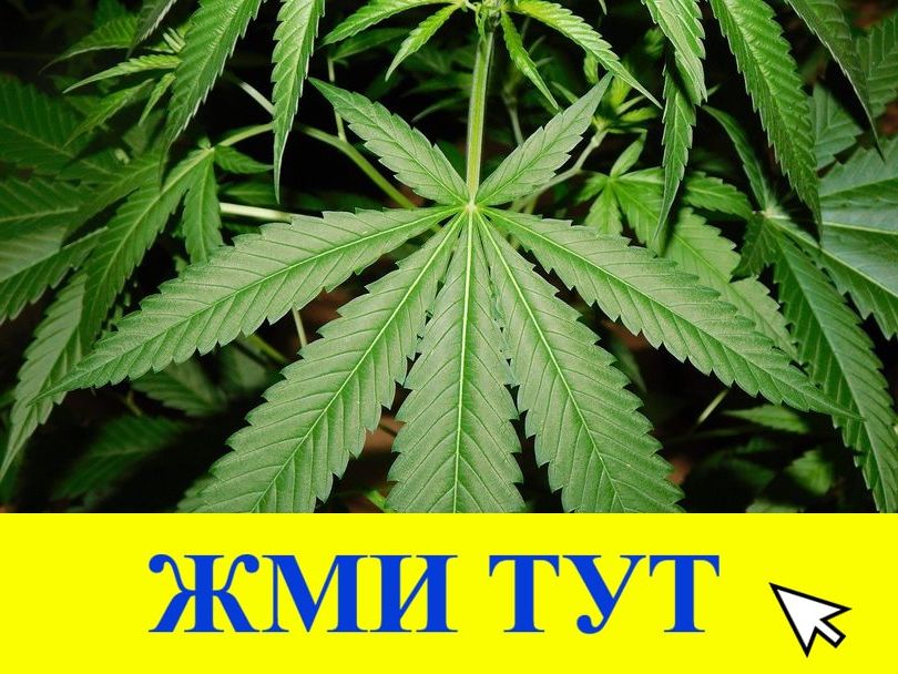 Купить наркотики в Кирово-Чепецке